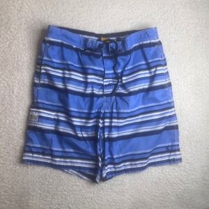 Polo Ralph Lauren Mens Blue Striped Swim Trunks Board Shorts XXL 710731427001